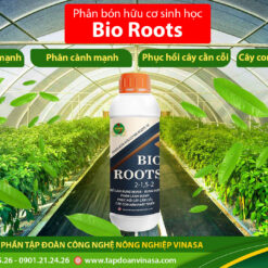 Phân bón bio roots