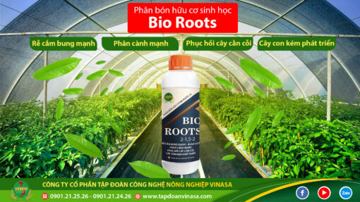 Phân bón bio roots