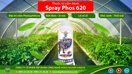 sprayphos 620SL