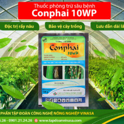 thuốc trừ sâu rầy conphai 10wp