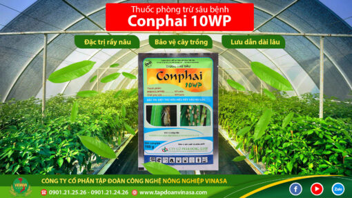 thuốc trừ sâu rầy conphai 10wp