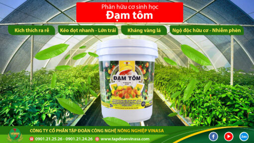 Xô tưới đạm tôm