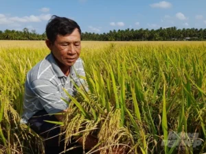 Trung tâm liên kết Cần Thơ