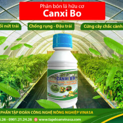 Canxi Bo