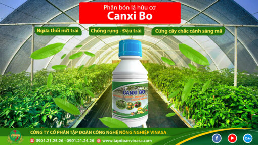 Canxi Bo