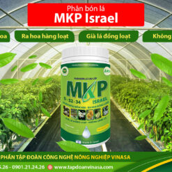 MKP ISRAEL