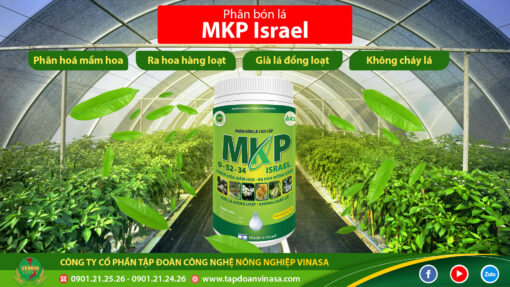 MKP ISRAEL