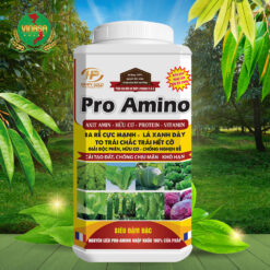 Phân bón hữu cơ Pro Amino