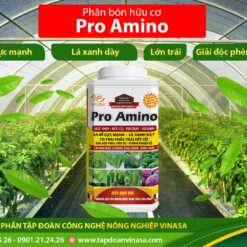 Phân bón hữu cơ Pro Amino