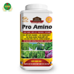 Phân bón hữu cơ Pro Amino