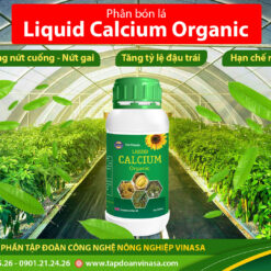 Liquid Calcium Organic