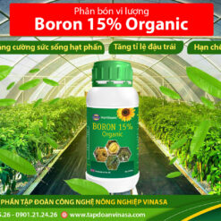 Boron 15% Organic