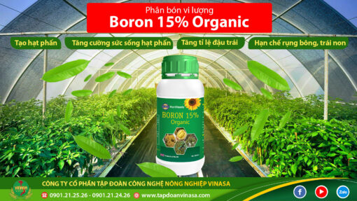 Boron 15% Organic