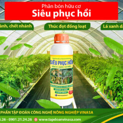 Phân bón Siêu Phục Hồi