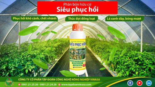 Phân bón Siêu Phục Hồi