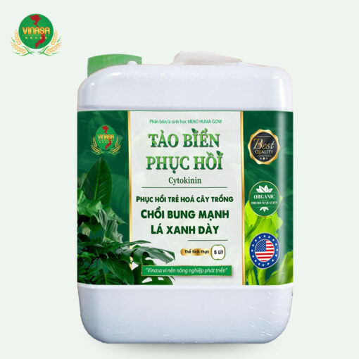 Tảo Biển Phục Hồi