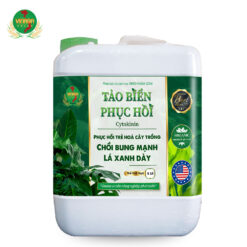 Tảo Biển Phục Hồi