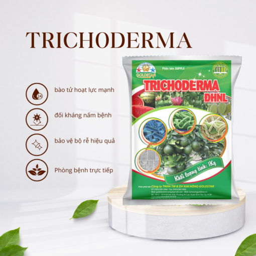 NẤM TRICHODERMA