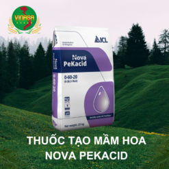 Thuốc tạo mầm hoa Nova Pekacid